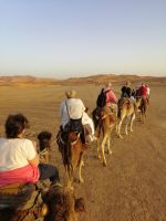 Dromedarritt in die marokkanische Wüste
