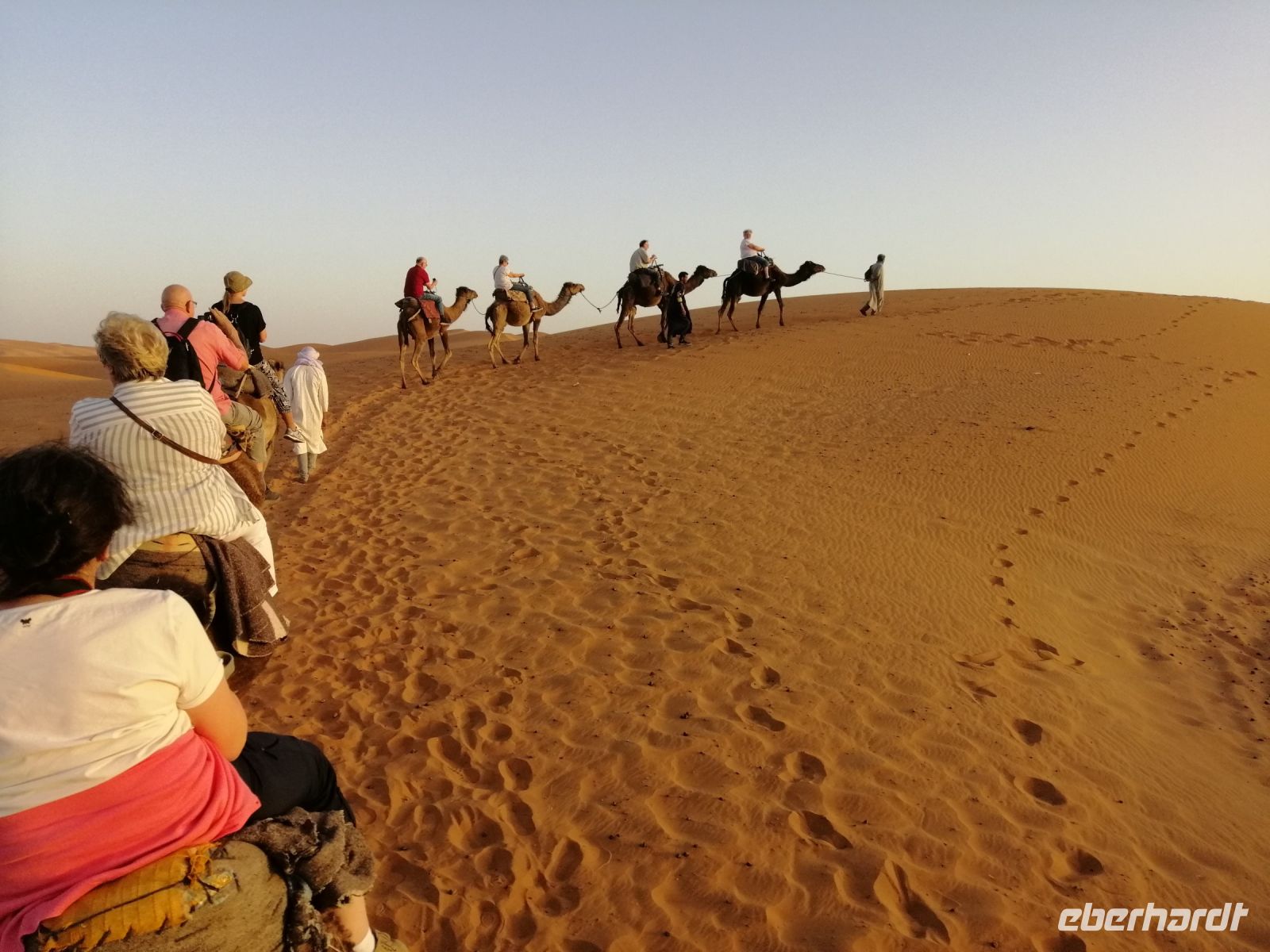 ein Traum geht in Erfüllung - durch die Sanwüste mit einem Dromedar