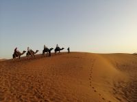 durch die Dünen des Erg Chebbi in der Sahara in Marokko