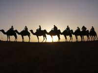 unsere Karawane: eberhart Marokko-Reisegruppe, April 2023