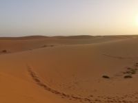 Dünenlandschaften von Erg Chebbi