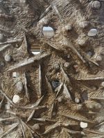 präparierte Fossilienplatte, Erfoud