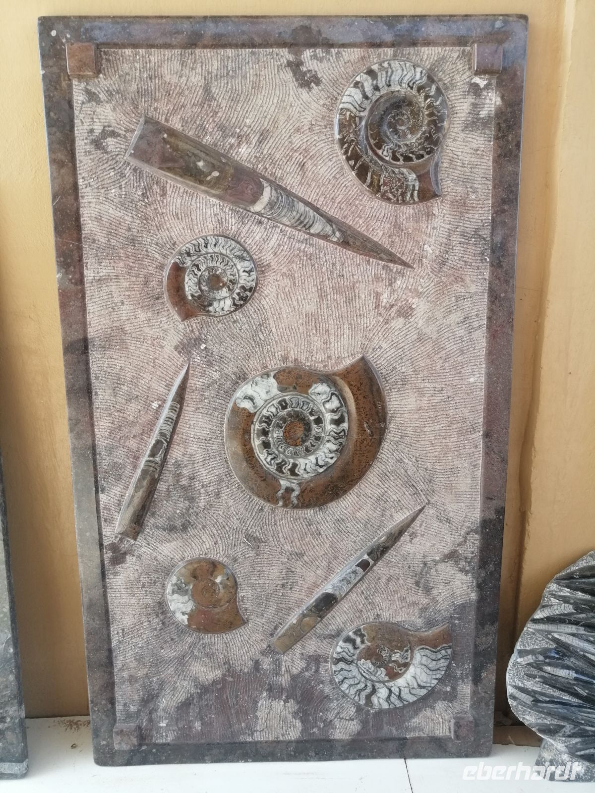 Tischplatte, Fossilienwerkstatt in Erfoud