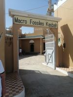Macro Fossiles Kasbah, Erfoud