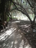 Spaziergang am Fluß Todgha Gorges, Tinghir
