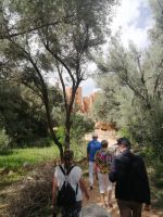 Spaziergang am Fluß Todgha Gorges, Tinghir