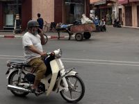 Cooler Rollerfahrer mit Handy am Ohr 