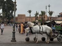 Stadtmauer mit Kutsche 
