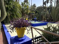 Jardin Majorelle