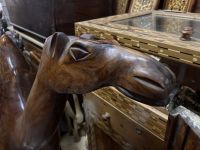 Kamel aus Thuyawurzel