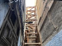 in den Gassen von Fes