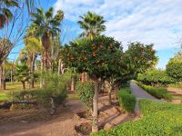 wie im Bilderbuch, 20241230_101347.jpg