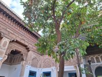 im Innenhof des Palastes, 20241230_125447.jpg