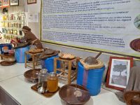 Besuch in einer Arganöl-Kooperative, 20241231_130456.jpg