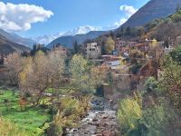 und noch mehr davon, 20241231_135428.jpg