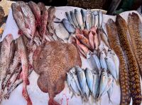 Fischmarkt am Hafen in Essaouira.jpeg