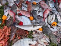 Fischmarkt am Hafen in Essaouira.jpeg