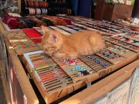 beim Spaziergang.jpeg