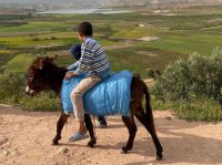 9.4. am Stausee.jpeg