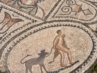 9.4. Volubilis Mosaik.jpeg