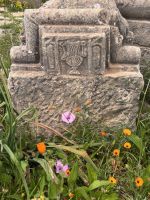 9.4.Portal eines Gescha¨fts.jpeg