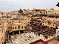 10.4.Gerberei 1.jpeg