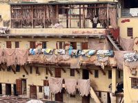 10.4.Gerberei-trocknen der felle.jpeg