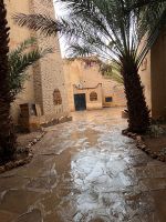 12.4.Regen am Morgen.jpeg