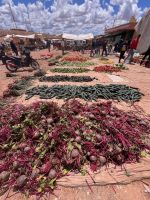 13.4.Gemüse auf Wochenmarkt.jpeg