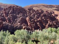 13.4. Dadestal-Monkeyfinger.jpeg