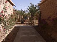 Hotel Belere in Erfoud