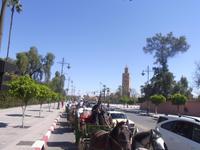 Mit der Kutsche durch Marrakesch