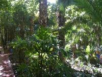 Jardin Majorelle