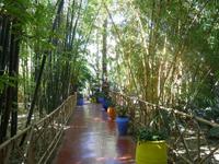 Jardin Majorelle