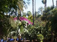 Jardin Majorelle