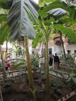 Bahia Palace in Marrakesch