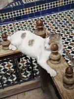 Bahia Palace in Marrakesch