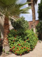 Bahia Palace in Marrakesch