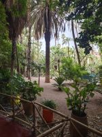 Jardin Majorelle Marrakesch