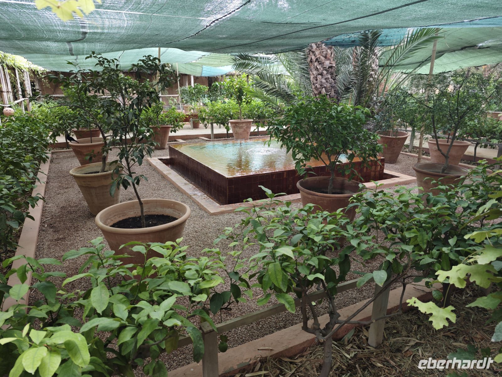 Jardin Majorelle Marrakesch