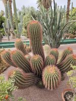 Jardin Majorelle Marrakesch