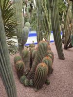 Jardin Majorelle Marrakesch