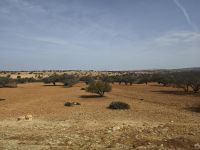 Fahrt nach Essaouria