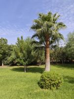 Arganöl-Kooperative Essaouria