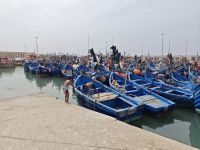 Spaziergang durch Essaouira