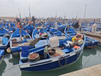 Spaziergang durch Essaouira