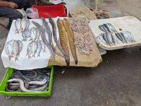 Spaziergang durch Essaouira