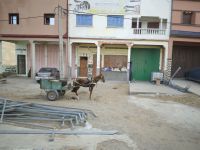 Fahrt nach Casablanca