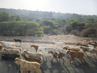 Fahrt nach Casablanca