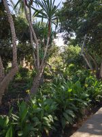 Ruinenensemble von Chellah